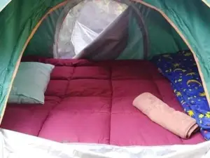 Wassana Camp Khai Jungle Experience
