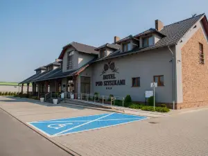 Hotel Pod Szyszkami