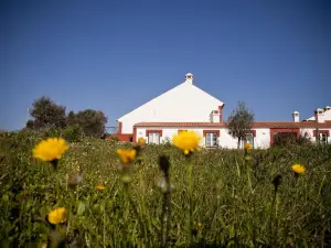Naturarte Rio - Duna Parque Resorts & Hotels