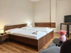Hotel Arena