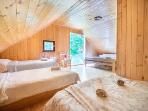 Miha Lodge - Mihčevo pleče