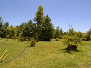 Cabañas Parque Salto del Laja
