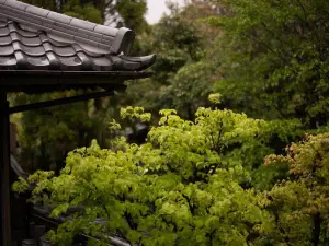 Yufuin Onsen Hinoharu Ryokan