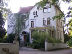 Hotel Villa Herzog