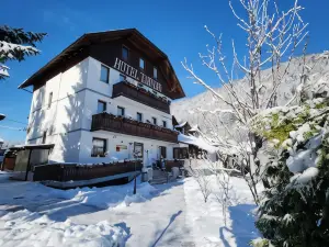 Hotel Tarvisio Four Seasons