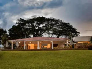 el Jardín del Edén para tu Niño Interior