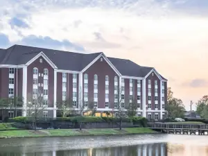 Hilton Garden Inn Jackson/Madison