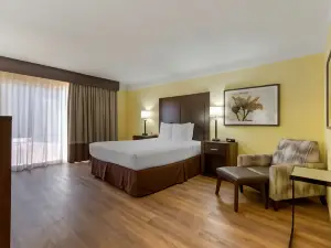 Best Western Phoenix Goodyear Inn