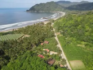 Java Turtle Lodge Meru Betiri