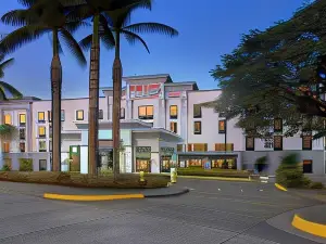 Hampton by Hilton San Jose Airport