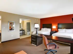 Hampton Inn & Suites Tampa Northwest/Oldsmar
