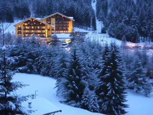 Hotel Shandranj