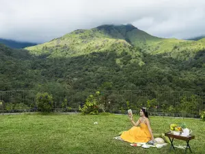Mountain Shadows Resorts