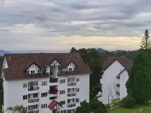 A356 Silverpark@Best far mountain view