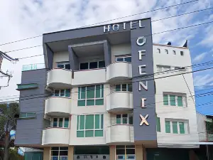 Hotel Fenix