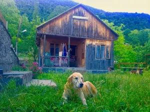 Discover Kinchkha