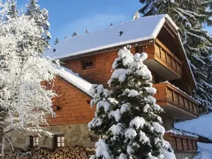 Chata Alpina Čertov