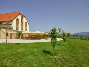 Weingut Taggenbrunn