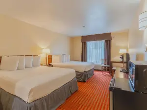 더 모나크
