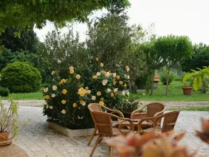 Colonna Country Home
