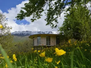 Nature Rooms Cabin