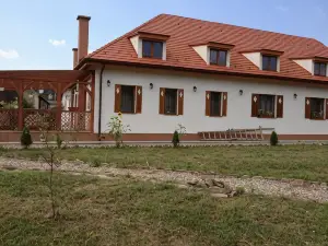 Pensiunea Elena