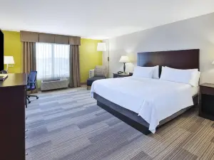 Holiday Inn Express & Suites Niles