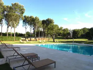 Tenuta Monacelle