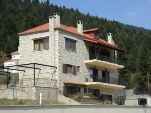 Elatodasos
