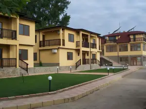 Complex Terazini