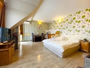 Hotel Svishtov