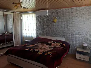 Guest House Danelia
