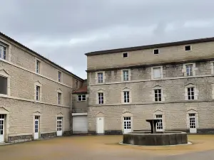 Les Asphodèles
