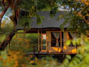 Camp Sabali & Safaris