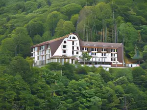 Hotel Valea cu Pesti