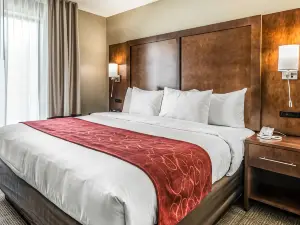 Comfort Suites Dunnellon Near Rainbow Springs