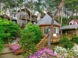 횡성 숲속의사랑별펜션