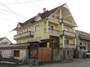 Vila Perla Sapanteana