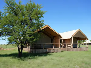 Malaika豪華營地 Seronera Serengeti