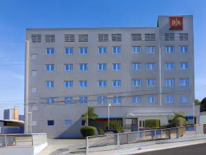 Ibis Jaboticabal