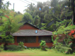 Dudhsagar Plantation