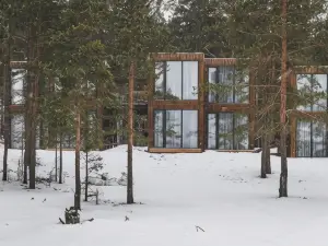 Точка на карте. Приозерск