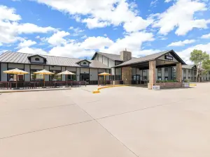 Mtn Lodge Ridgway