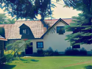 Casa Porumbacu 295