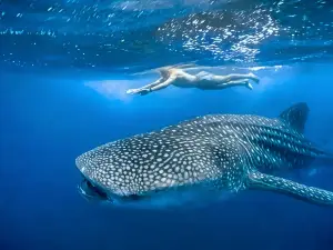 Hacienda Antigua Villa, 50m from Sandy Beach