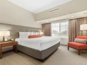 Mountain View Inn & Suites