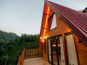 Pafuli Bungalov