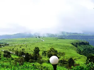 Vamoose Malvan Katta