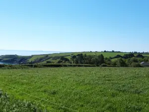 Trelawne Garden Annexe
