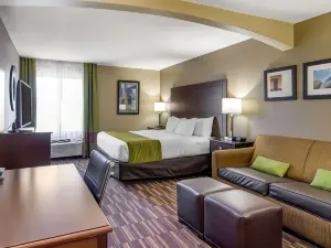 Comfort Inn & Suites Near Worlds of Fun